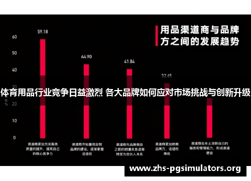 体育用品行业竞争日益激烈 各大品牌如何应对市场挑战与创新升级