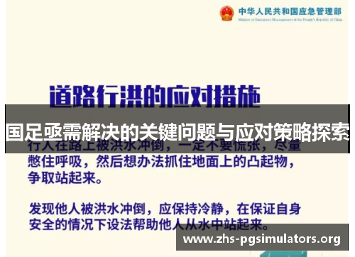 国足亟需解决的关键问题与应对策略探索