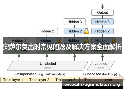 奥萨尔复出时常见问题及解决方案全面解析