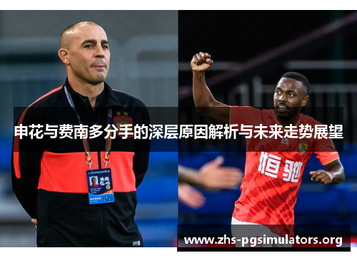 申花与费南多分手的深层原因解析与未来走势展望