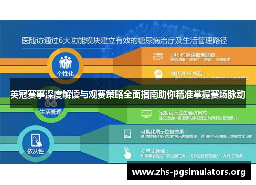 英冠赛事深度解读与观赛策略全面指南助你精准掌握赛场脉动