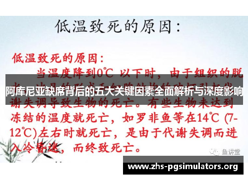 阿库尼亚缺席背后的五大关键因素全面解析与深度影响